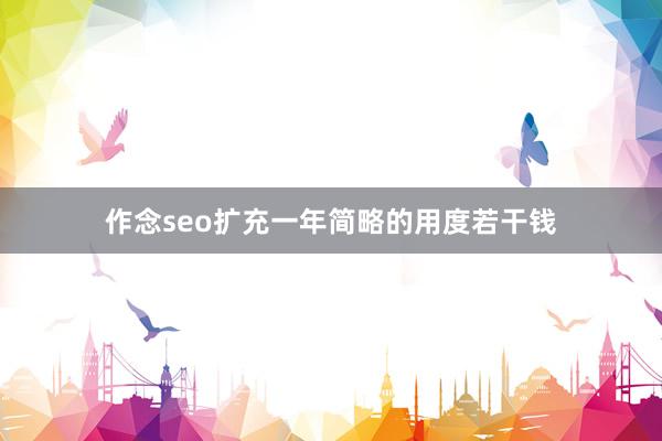 作念seo扩充一年简略的用度若干钱