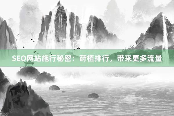 SEO网站施行秘密：莳植排行，带来更多流量