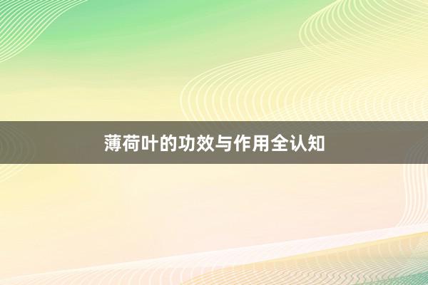 薄荷叶的功效与作用全认知